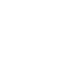 NSF Logo